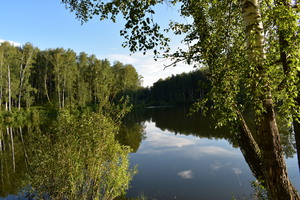 Image-preview_300x200