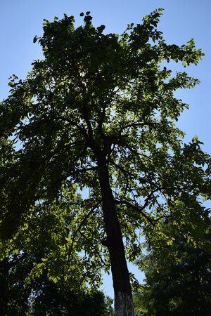 Image-preview_300x200