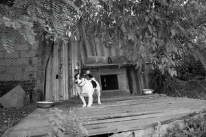 Image-preview_300x200