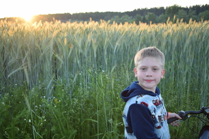 Image-preview_300x200