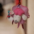 Image-square_50