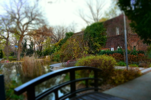 Image-preview_300x200