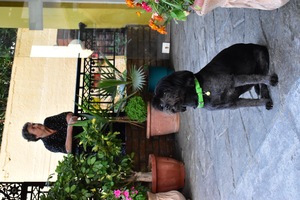 Image-preview_300x200