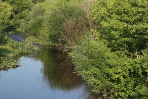 Image-preview_300x200