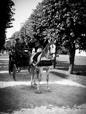 Image-preview_300x200