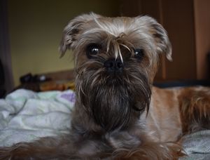 Image-preview_300x200