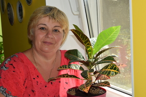 Image-preview_300x200