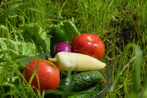 Image-preview_300x200