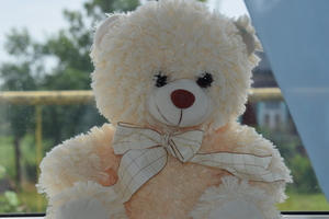 Image-preview_300x200