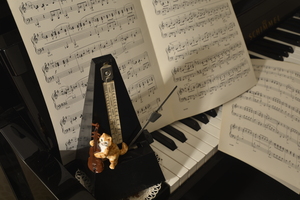 Image-preview_300x200