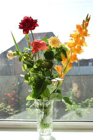 Image-preview_300x200