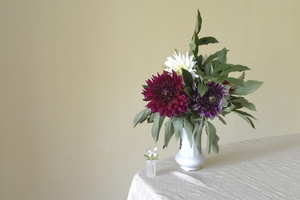 Image-preview_300x200