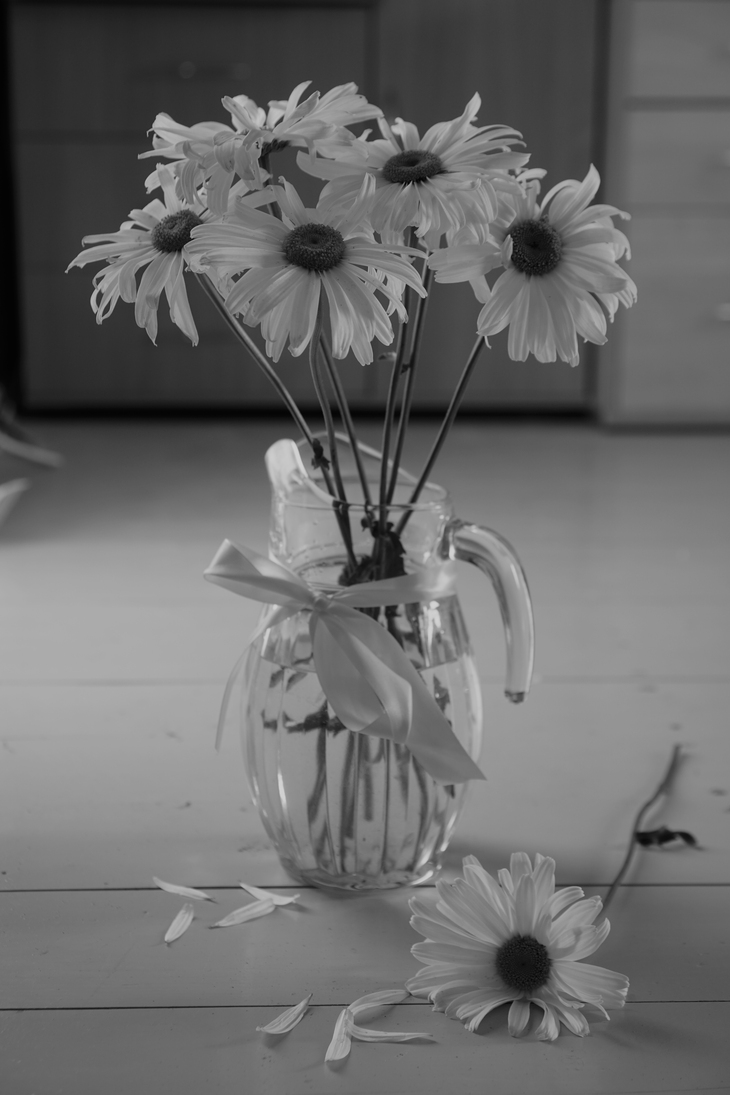 Image-normal