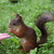 Image-square_50