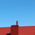 Image-square_50