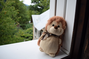 Image-preview_300x200