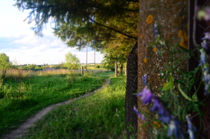 Image-preview_300x200