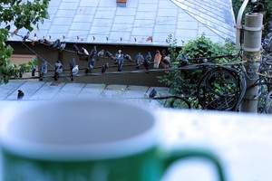 Image-preview_300x200