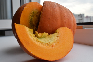 Image-preview_300x200