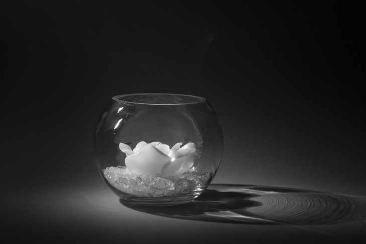 Image-normal
