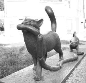 Image-preview_300x200