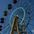 Image-square_50