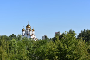 Image-preview_300x200