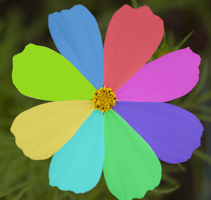 Image-preview_300x200