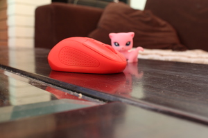 Image-preview_300x200