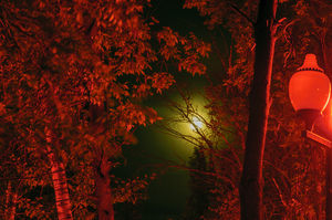 Image-preview_300x200