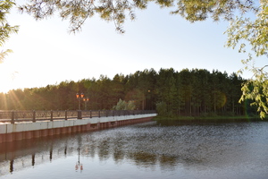 Image-preview_300x200