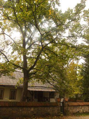 Image-preview_300x200