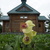 Image-square_50