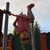 Image-square_50