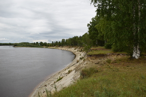 Image-preview_300x200