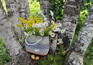 Image-preview_300x200