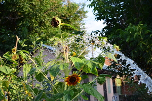 Image-preview_300x200