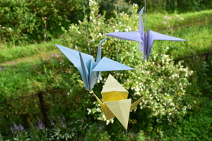 Image-preview_300x200