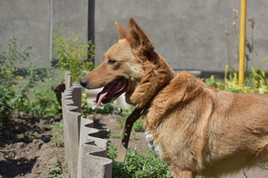 Image-preview_300x200