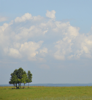 Image-preview_300x200