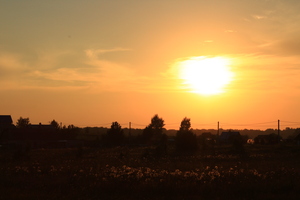 Image-preview_300x200