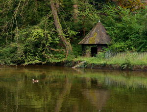 Image-preview_300x200