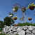 Image-square_50