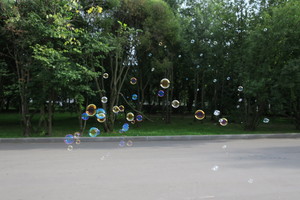 Image-preview_300x200