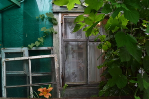 Image-preview_300x200