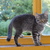 Image-square_50