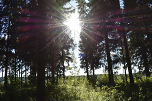 Image-preview_300x200