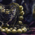 Image-square_50