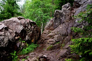 Image-preview_300x200