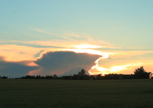 Image-preview_300x200